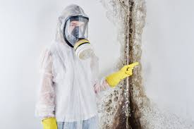 Best Industrial Mold Remediation in Walcott, IA